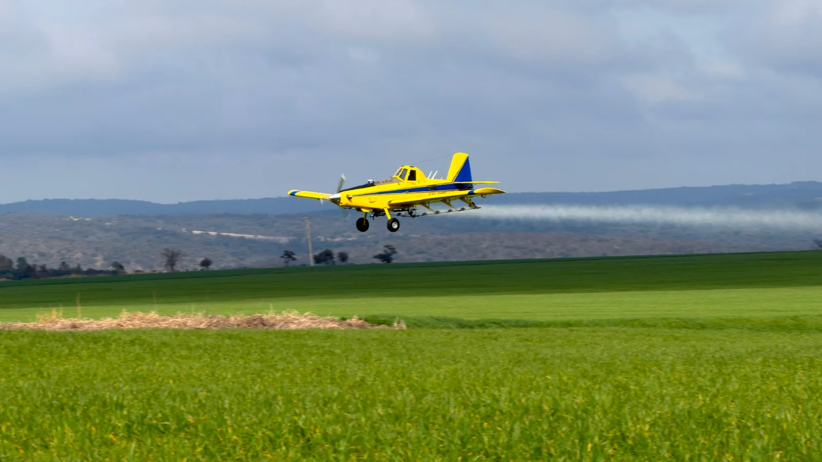 Avión agrícola aplicando sobre un lote verde
