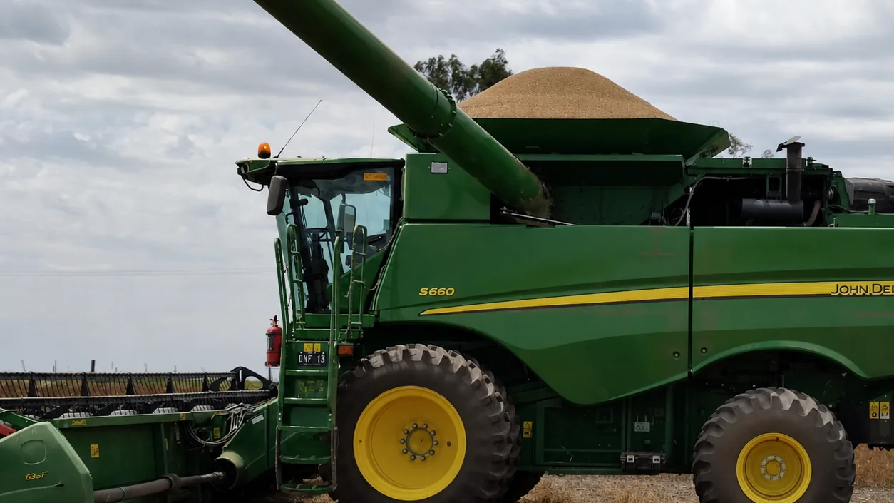 Cosechadora descargando grano en un lote de Córdoba