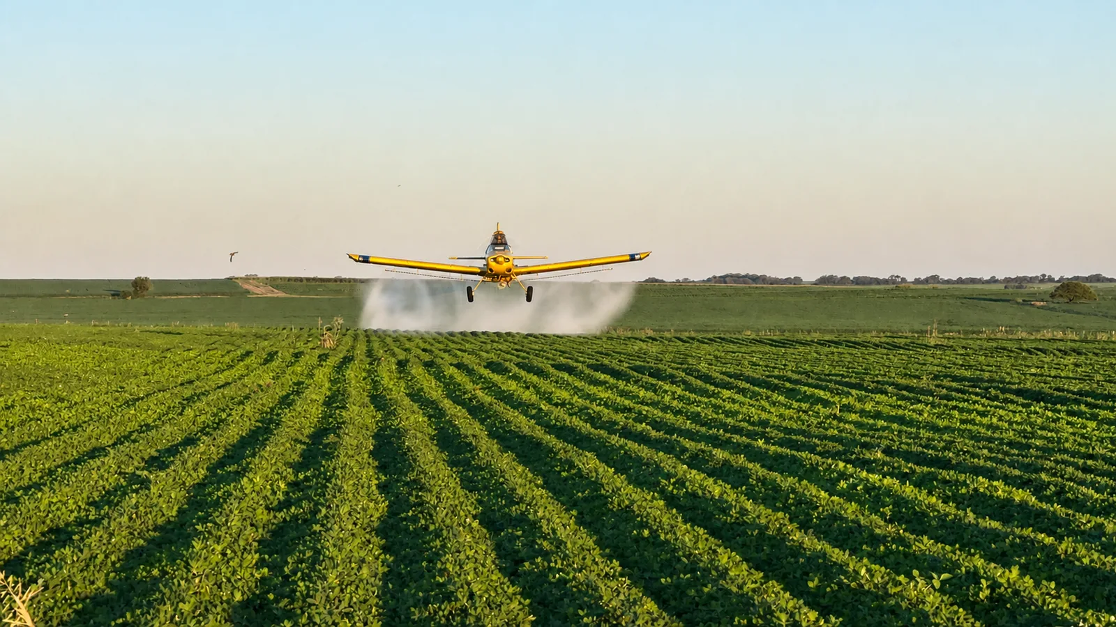 Operación agrícola de Livio S.A. en un lote de Córdoba
